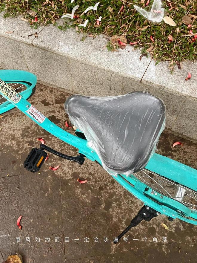 ！几块钱的小东西竟能让生活开挂被老妈买的“便宜货”惊艳到了(图9)