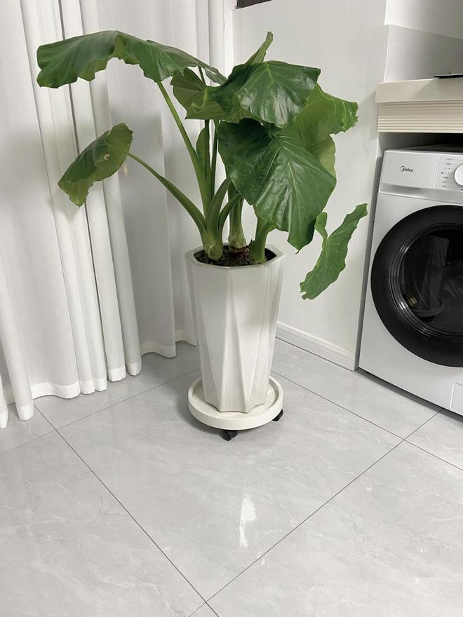 ！几块钱的小东西竟能让生活开挂被老妈买的“便宜货”惊艳到了(图18)