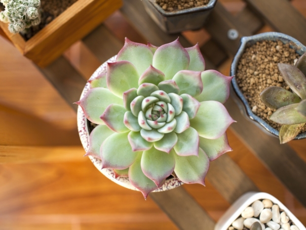 阳台安装什么晾衣架好？4种主流方案优缺点